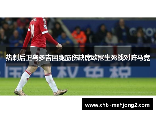 热刺后卫乌多吉因腿筋伤缺席欧冠生死战对阵马竞