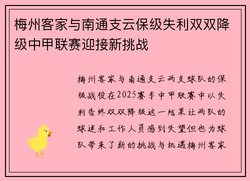 梅州客家与南通支云保级失利双双降级中甲联赛迎接新挑战