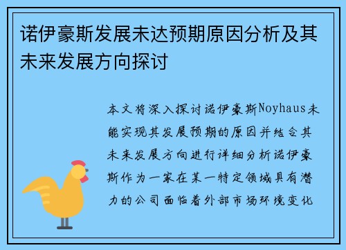 诺伊豪斯发展未达预期原因分析及其未来发展方向探讨